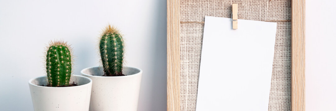 Panorama with two cactuses in pots with a wooden frame against a white wall