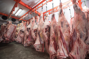 Butcher cutting pork meat food industry concept
