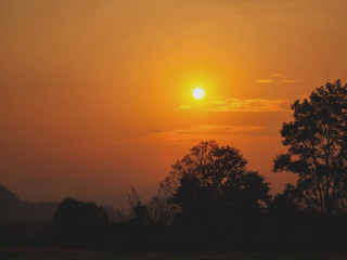 Fototapeta na wymiar Silhouette shot of Sunset on the peak of Tree with cloud and orange sky.