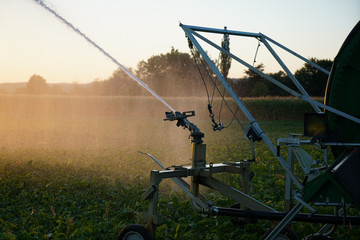 Long lasting drought in Germany due to lack of rain in agriculture requires artificial irrigation
