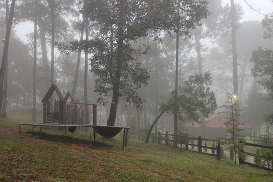 SAN JOAQUIN FOG, MX. 