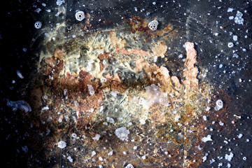 Cooking Grease Fat Oil and Water Mix on Surface