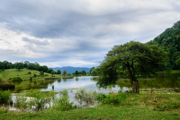 Fototapeta na wymiar Beautiful landscape with lake and alone tree, Armenia