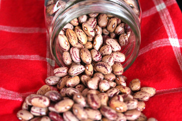 Haricots romain