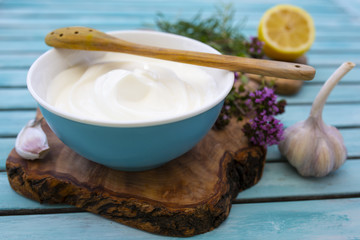 Traditional Greek tzatziki sauce and ingredients for the recipe. 