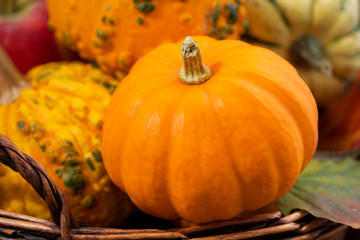 seasonal pumpkins in the basket, closeup