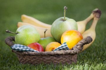 fruits basket summer garden 