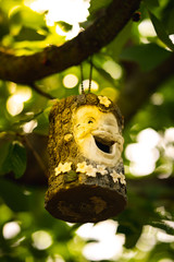 Funny birdhouse
