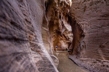The Narrows - Zion National Park