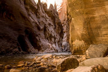 The Narrows - Zion National Park