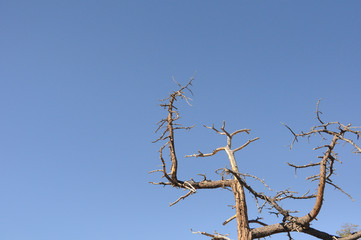 Bryce Canyon lands