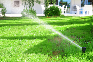 automatic sprinkler system watering the lawn - obrazy, fototapety, plakaty