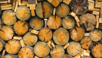 A pile of stacked firewood