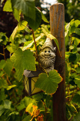 Cute little gnome