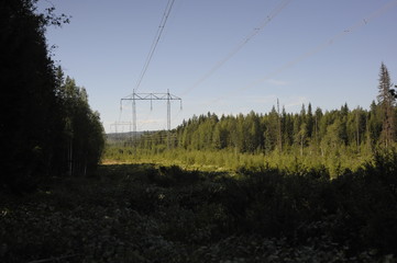 Northern mountains, forests, ecology, electricity, power line, wires