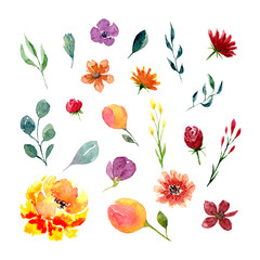 Set of watercolor flowers and leaves