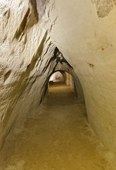 dug out vault corridor of a wine cellar