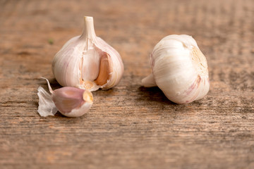 Garlic