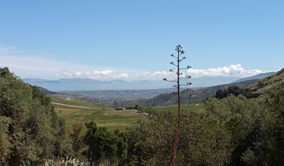 Obraz premium Paysage de Sicile, site du temple de Segeste