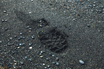 Tracking shoes footprint closeup on the beach with black volcanica sand in Iceland