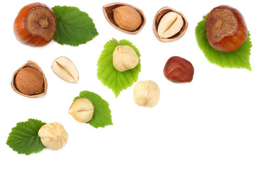 hazelnuts with leaves isolated on white background. top view