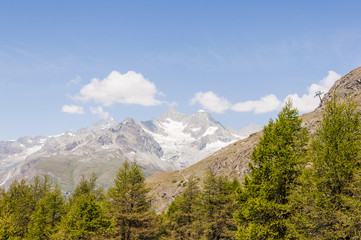 Zermatt, Alpen, Walliser Berge, Zinalrothorn, Ober Gabelhorn, Wellenkuppe, Gletscher, Wanderweg, Lärchenwald, Arve, Blauherd, Sunnegga, Wallis, Sommer, Schweiz