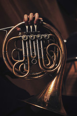 The musical instrument French Horn on a dark background. - obrazy, fototapety, plakaty