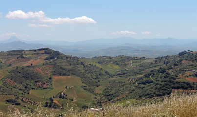 Paysage de Sicile, site du temple de Segeste