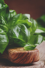 Fresh green basil in olive mortar with pestle, vintage wooden background, rustic style, selective...