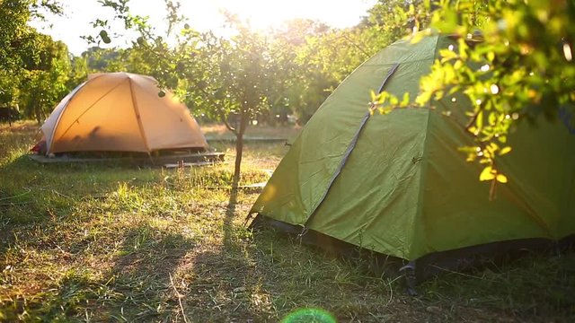 tents among pomegranate trees in the campsite at sunrise. Climbing camping in Geyikbayiri, Turkey