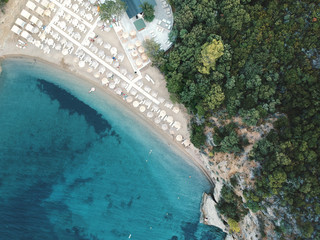 Aerial view of a beach with pines and bright water