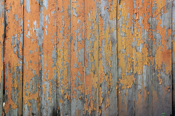 Obraz premium remains of orange paint on the wooden fence