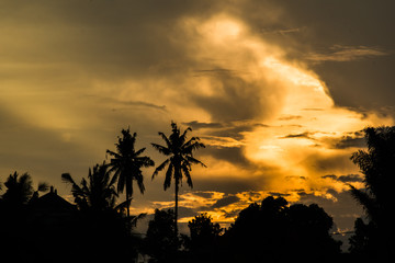 Vibrant sunset with silhouette of palm trees in countryside of the Bali Island in Indonesia