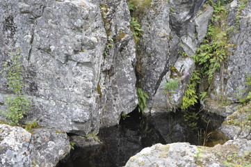 Texture, stone, rocks, trees, moss, granite, trees, forest, mountains, color,
