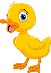 Cute duck cartoon 