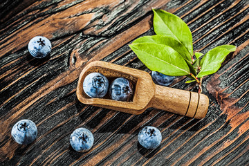 Sweet huckleberries in wooden spoon