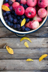 Spelled autumn fruits on a wooden background