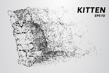 Fototapeta na wymiar Kitten of the particles. The kitten consists of circles and dots.