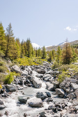 Obraz premium Zermatt, Alpen, Wallis, Walliser Berge, Grindjibach, Bergbach, Gletscherwasser, Wanderweg, Lärchen, Blauherd, Sunnegga, Findeln, Gletscher, Sommer, Schweiz