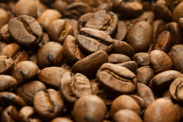 coffee beans macro