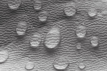 water drops on leather surface