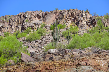 Arizona