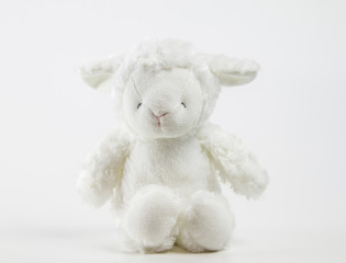 cute teddy lamb