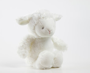 cute teddy lamb