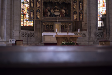 Obraz premium Nature and Animals