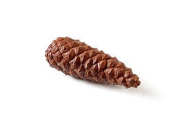 Fir cone