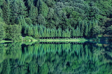 Fototapeta premium 夏の中綱湖