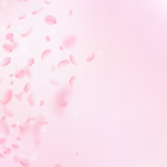 Sakura petals falling down. Romantic pink flowers gradient. Flying petals on pink square background.