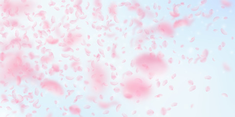 Sakura petals falling down. Romantic pink flowers gradient. Flying petals on blue sky wide backgroun