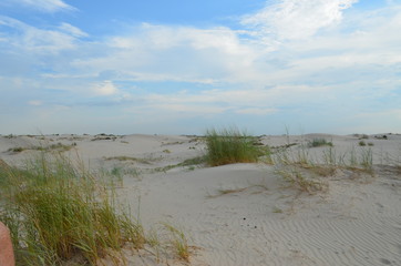 Monaghan's Sandhills State Park, Tx.
Dunes with grass and without.
